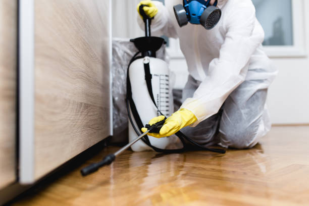 Best Best Pest Control Companies  in Centereach, NY