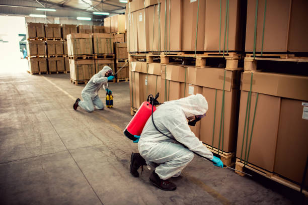 Best Mosquito Control Services  in Centereach, NY