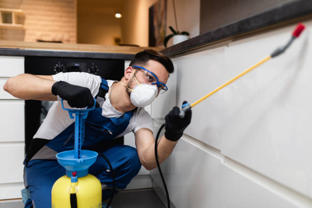 Best Termite Control Services  in Centereach, NY
