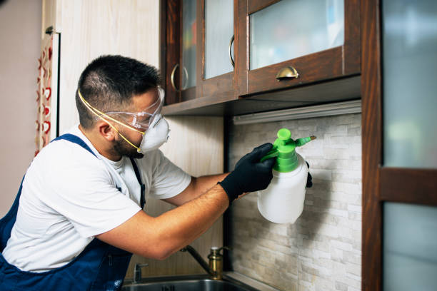 Best Emergency Pest Control  in Centereach, NY
