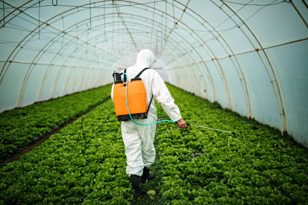 Best Mosquito Control Services  in Centereach, NY