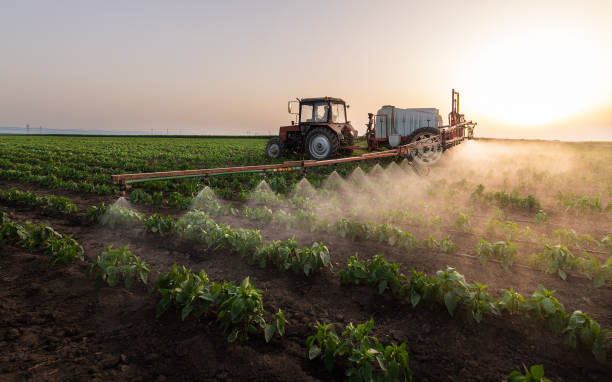 Reliable Centereach, NY Pest Control Solutions
