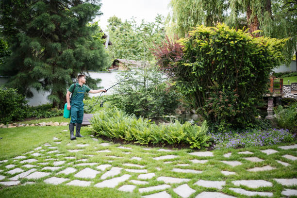 Best Exterminator Services  in Centereach, NY