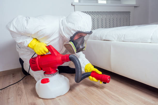 Best Pest Removal Services  in Centereach, NY