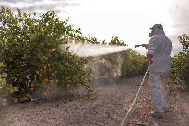 Best Emergency Pest Control  in Centereach, NY