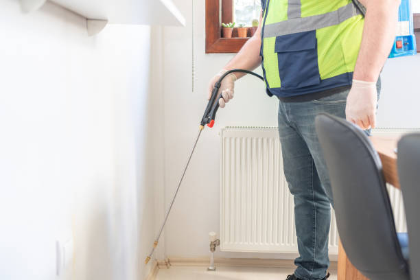 Best Local Pest Control Services  in Centereach, NY