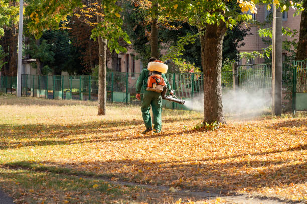 Best Best Pest Control Companies  in Centereach, NY